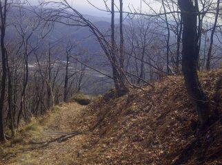 25 APRILE 2013  salendo per il rilassante sentiero