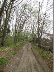 Sulla strada prima del Peso Grande