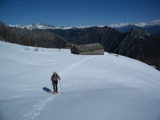 All'Alpe Valsomma