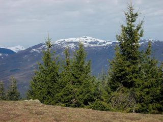 vista sul Bric Mindino
