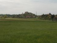 fiorile nei pressi di Chieri