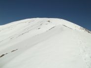dorsale terminale