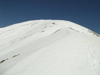 dorsale terminale