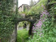 uscita nel borgo