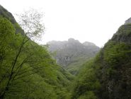 Il Toraggio 