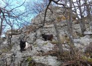 l'incontro sotto la rocciosa cima