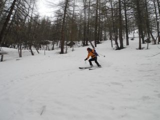 anche nel bosco niente male