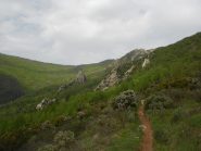 la rocca e i suoi satelliti
