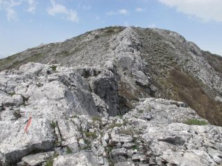 La cresta percorsa in salita