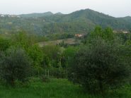 Ulivi sopra Vallegiolitti, Monte Croce in primo piano, Monte Favato e Bric delle Pietre in lontananza
