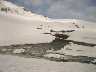 Ruscelli alla prima malga.