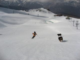 ....infatti qui e' da 5 stelle!