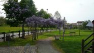 A Settimo Rotario