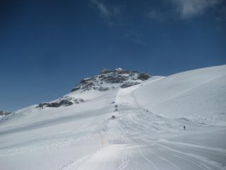 gatti al lavoro sulla valanga 