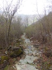 Sentiero Morinera-Richiaglio