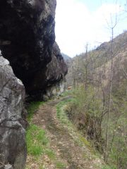 Verso il ponte del Molino