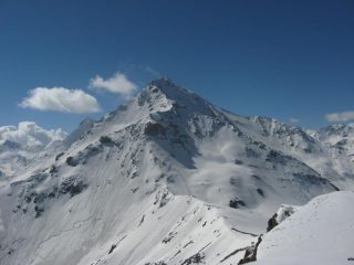 Rognosa mollata a metà