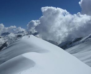 La caratteristica campana.