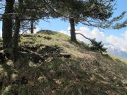 Gli ultimi metri per il Ciarmetta