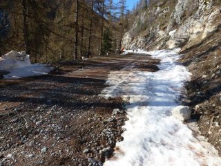 Manca la neve da 1700 a 1800m