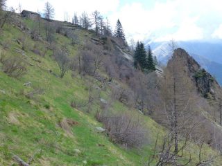 Alpe Ciarmetta