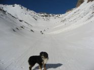 parte alta del canale