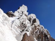 i Torrioni SARI fioriti sul colletto Pensa