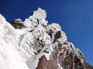 i Torrioni SARI fioriti sul colletto Pensa