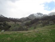 al centro della foto il prato da scendere con la pietraia e il boschetto