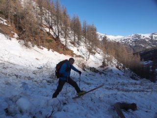 Ski sauvage!