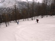 Buono anche il lariceto!