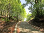 Passo Cuvignone