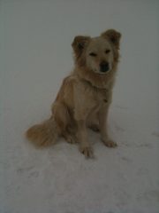 MIlla nella nebbia della cima (forse) 