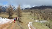 salendo nel pianoro erboso sopra il bosco iniziale (4-5-2013)