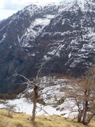 uno sguardo al selvaggio Vallone 