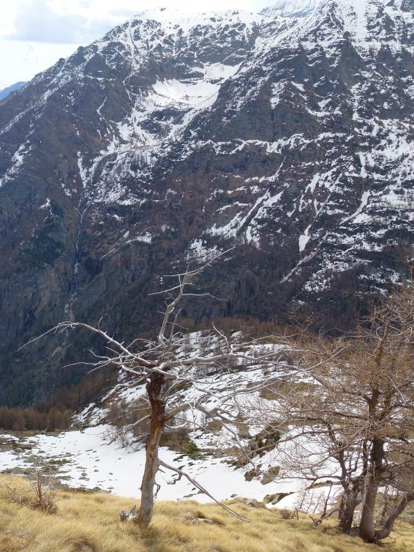 uno sguardo al selvaggio Vallone 