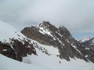 Nollenhorn