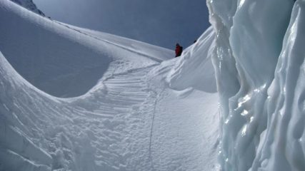 Naturalmente assicurati!