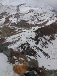 In cima- verso il colle della Paglia