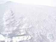 tanto bianco