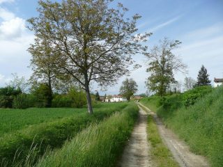 Partenza da Piagera di Gabiano