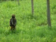 Accidenti ... ma è solo un campo di softair