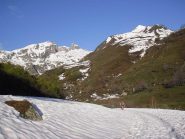 il bianco e il verde....