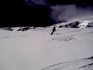 pennellando