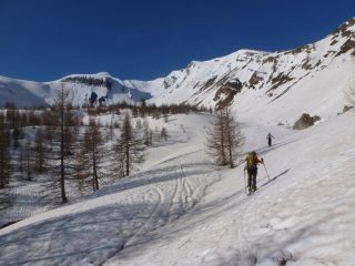 Fuori dal bosco
