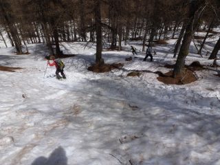 Discesa nel bosco