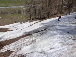 Fine della neve