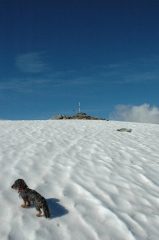 vetta della cima Durand
