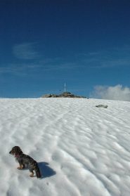 vetta della cima Durand