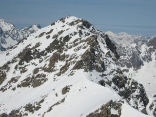 mongioia